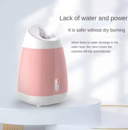 Facial Steamer